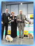 Travel to WORLD DOG SHOW-2006 in Poland